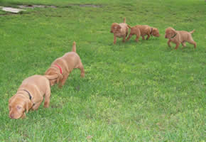 9-5-08 Outside exploring